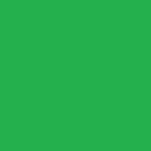картинка Штора зеленая для автомоек  из армированной ПВХ ткани, плотность  600 гр/м2 для автомойки
